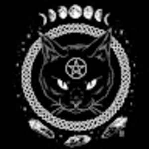 Meet your Posher, Sean alvarez